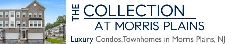 The Collection at Morris Plains in Morris Plains NJ Morris County Morris Plains New Jersey MLS Search Real Estate Listings Homes For Sale Townhomes Townhouse Condos   The Collection Lennar   Collection Morris Plains